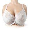 Chantelle Reggiseno Rive Gauche Pizzo Copertura Completa-5